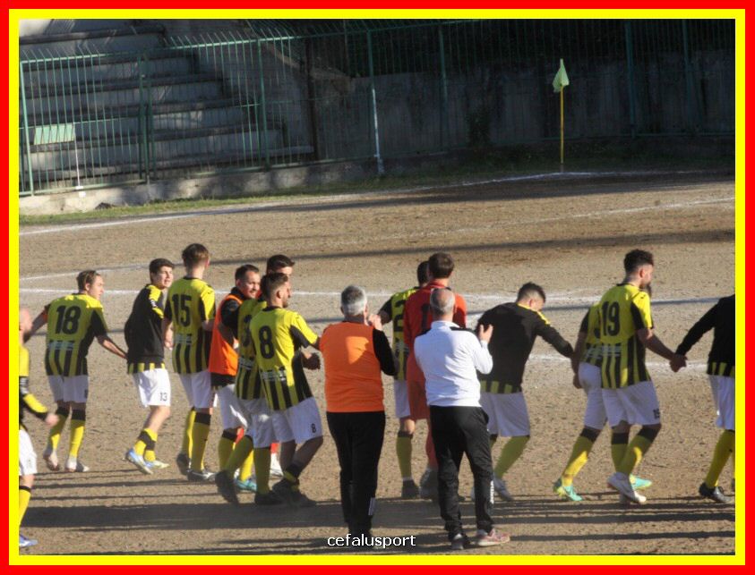 190310 Cephal_Torrenov 217_tn.jpg
